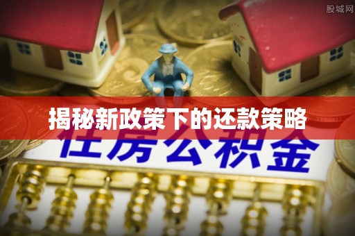 乳源揭秘新政策下的还款策略