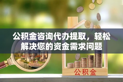 乳源公积金咨询代办提取，轻松解决您的资金需求问题