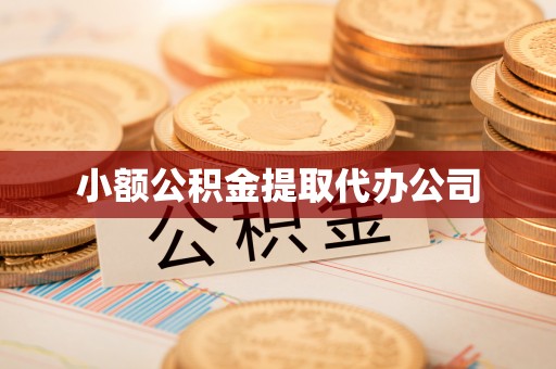 乳源小额公积金提取代办公司