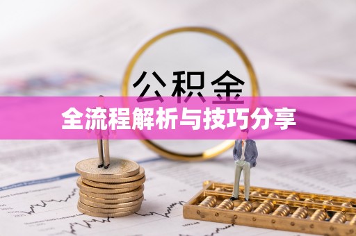 乳源全流程解析与技巧分享